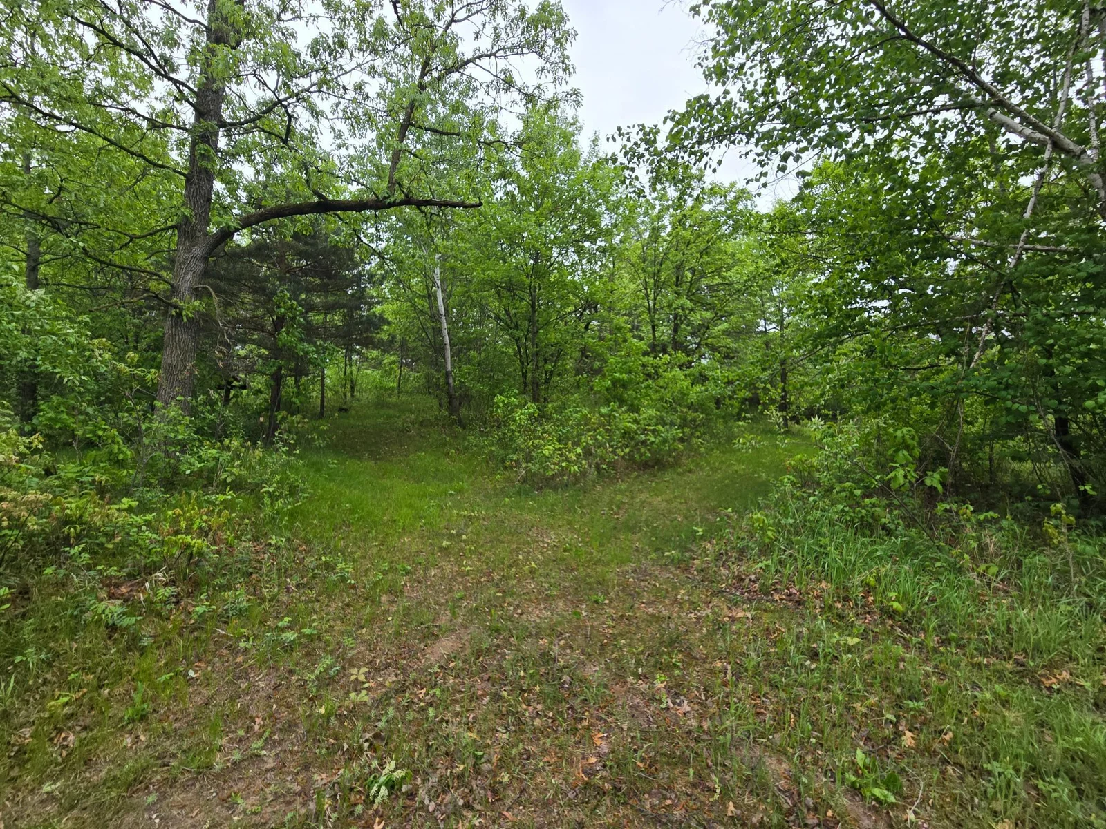 20250517_080605.jpg