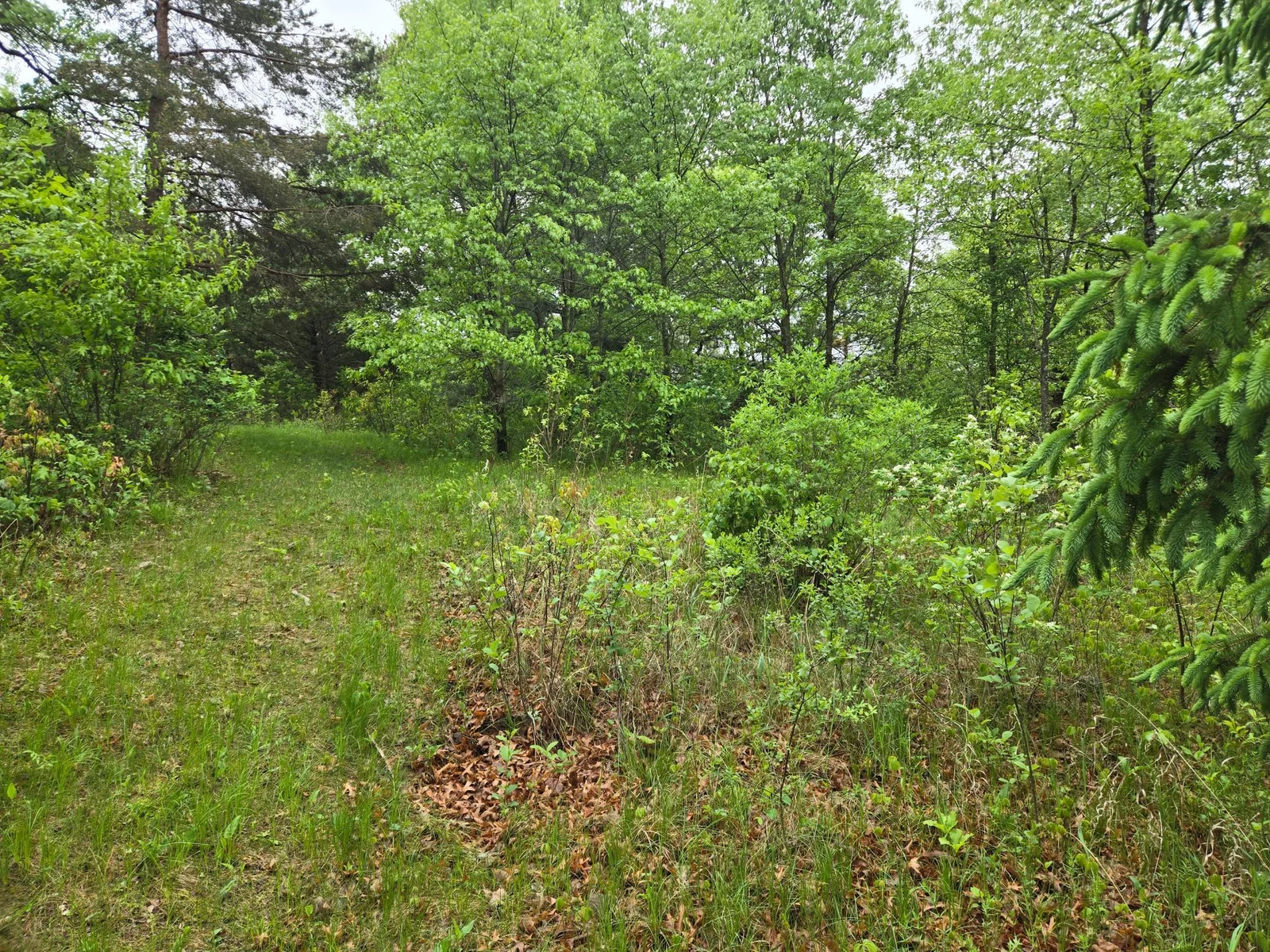 20250517_080303.jpg