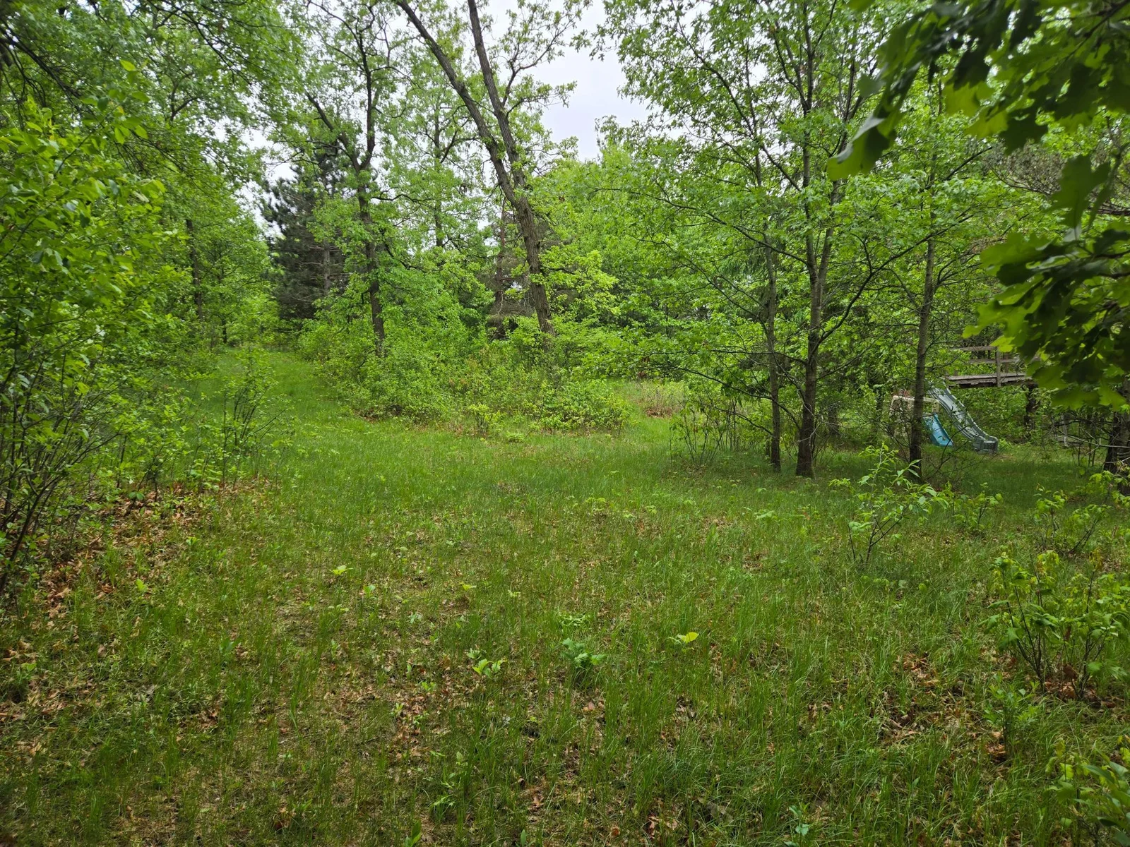 20250517_080225.jpg