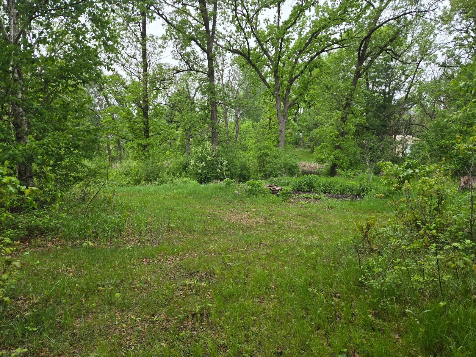 20250517_080411.jpg