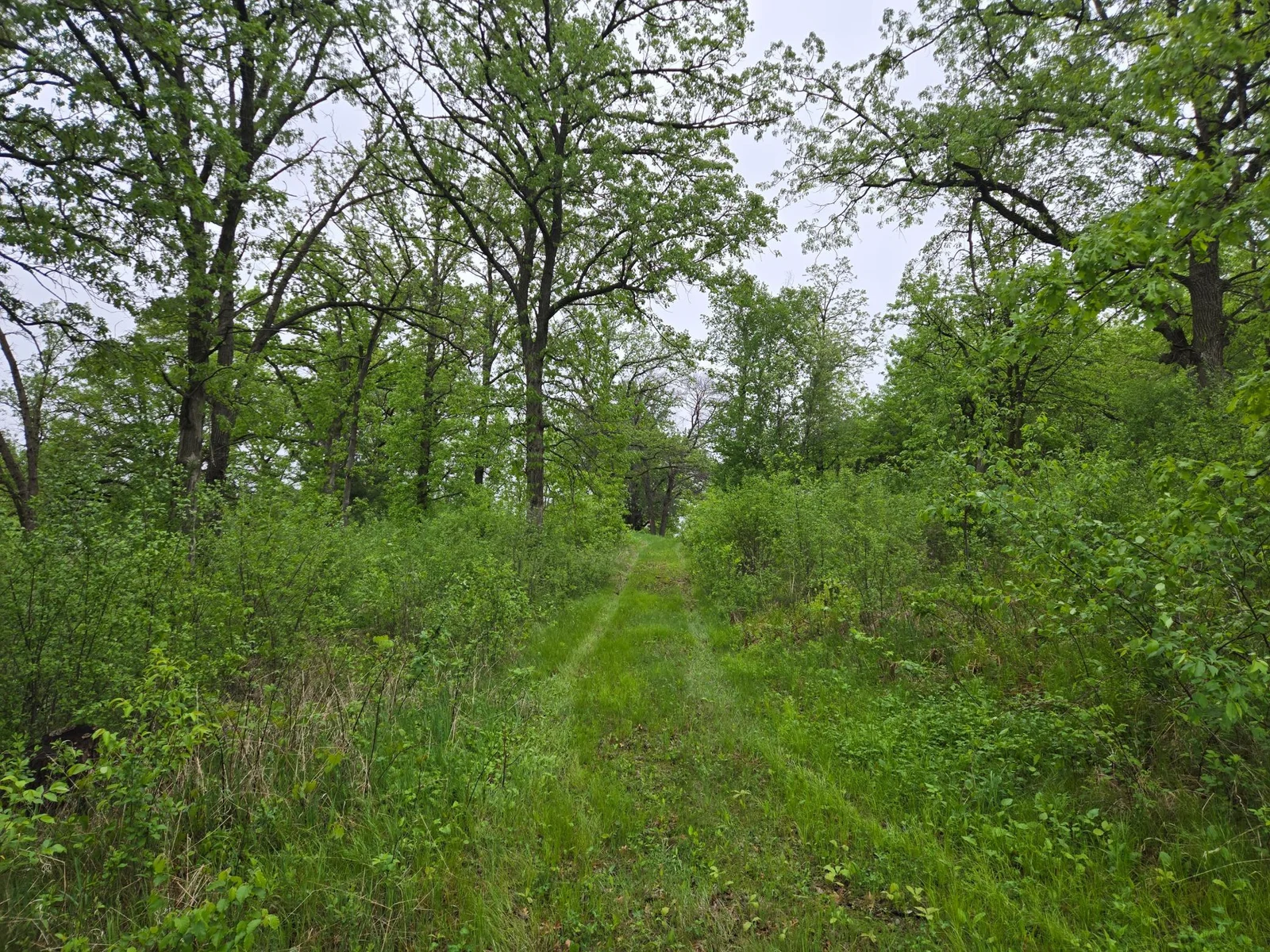 20250517_081025.jpg