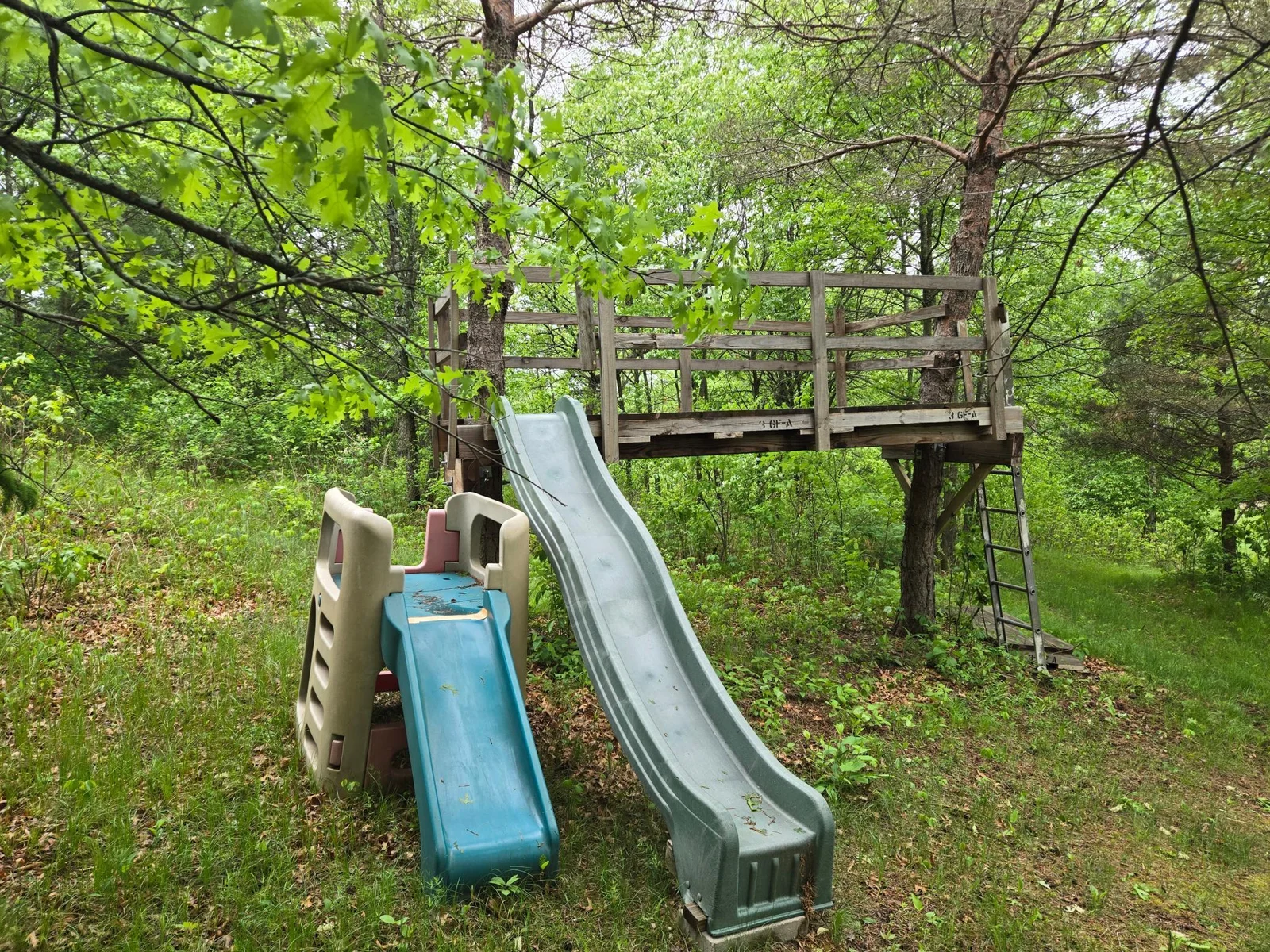 20250517_080351.jpg