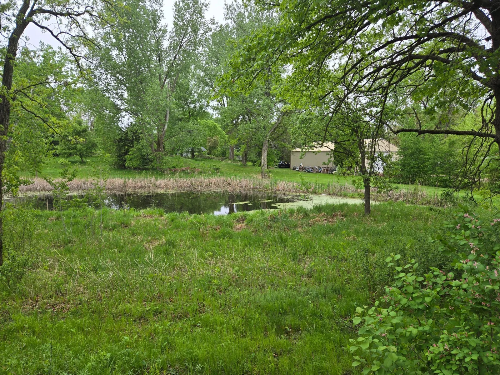 20250517_080636.jpg