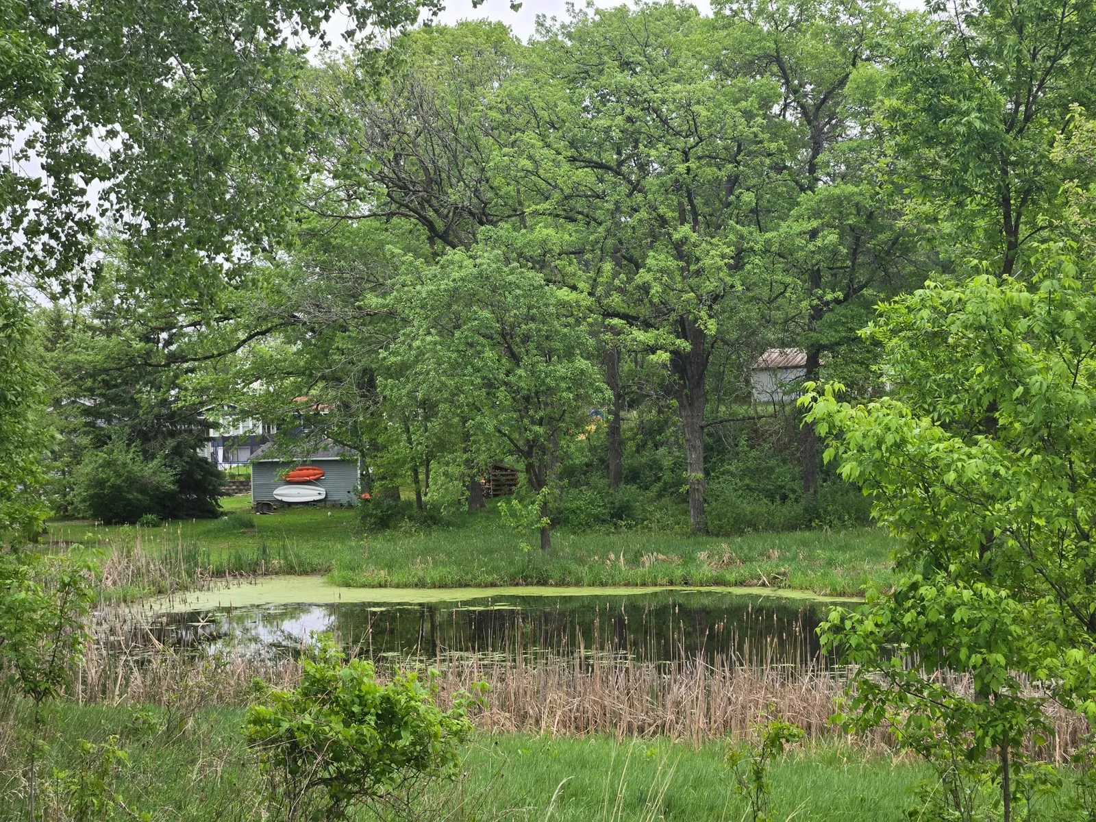 20250517_080845.jpg