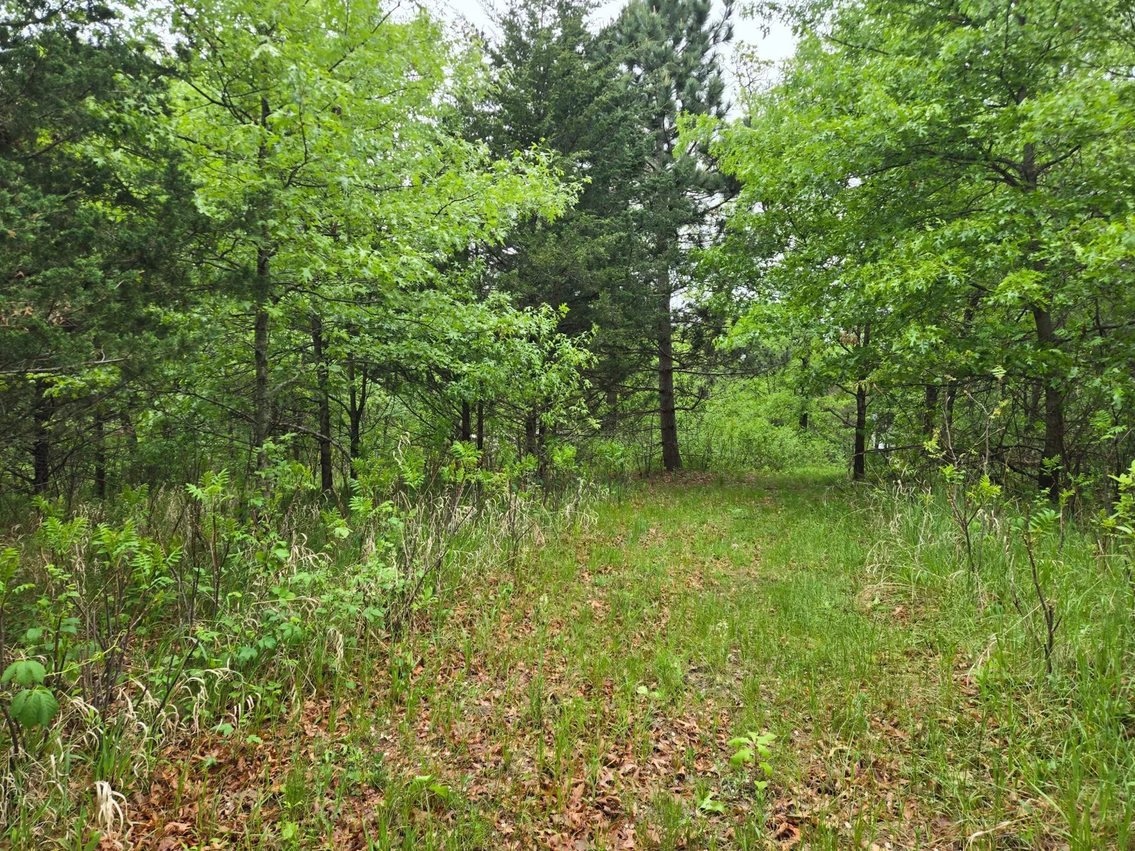 20250517_080110.jpg