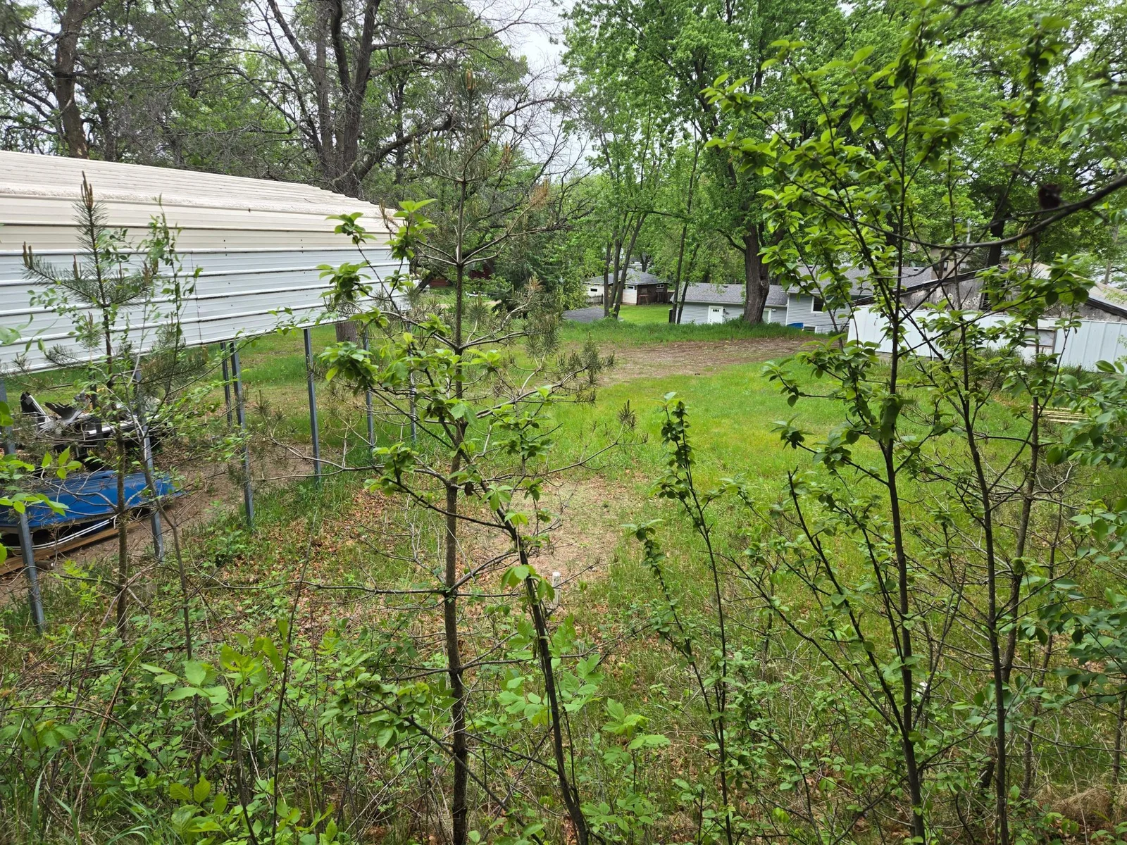 20250517_080331.jpg