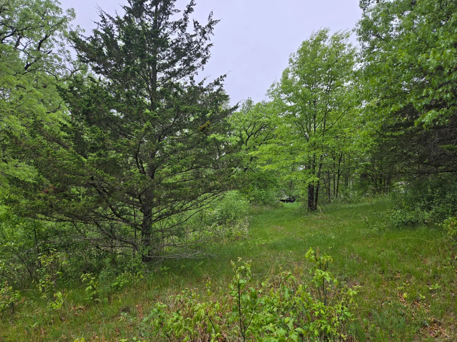 20250517_081058.jpg