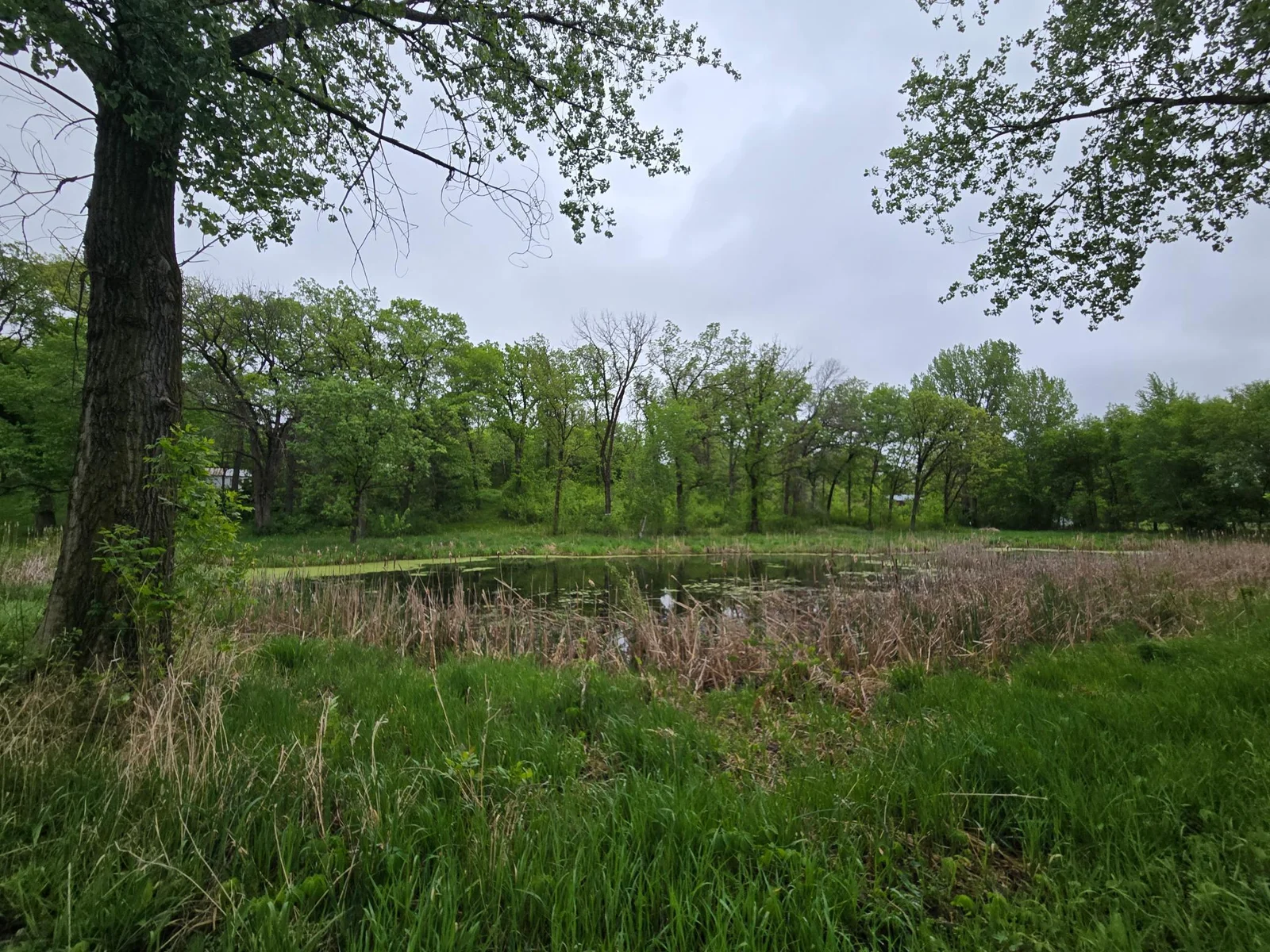 20250517_080740.jpg