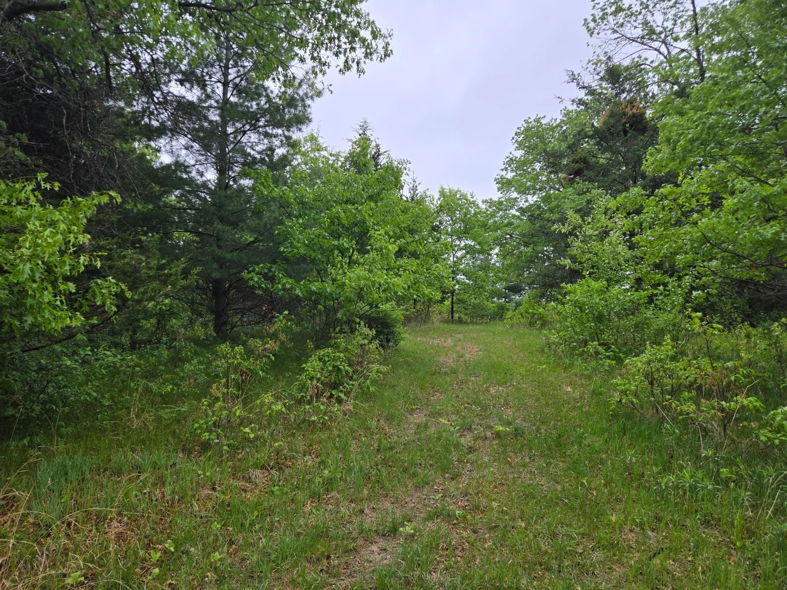 20250517_081101.jpg