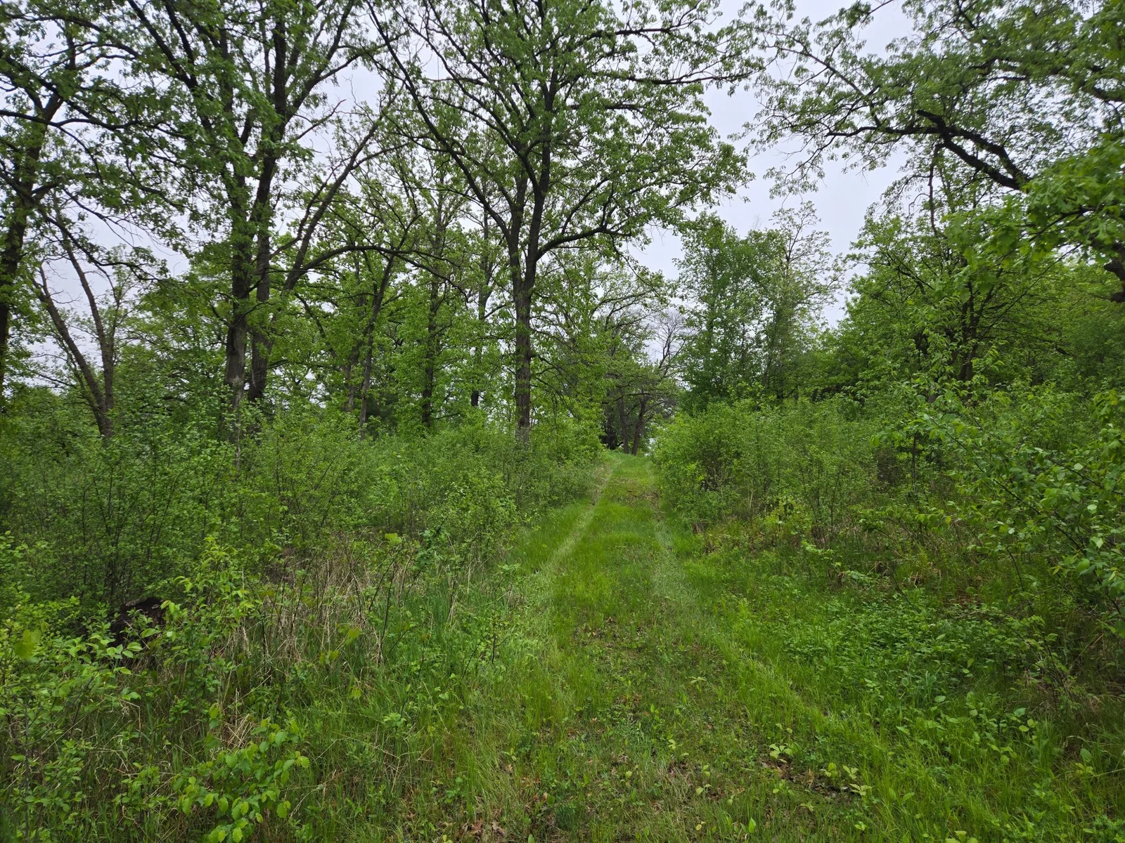 20250517_081024.jpg