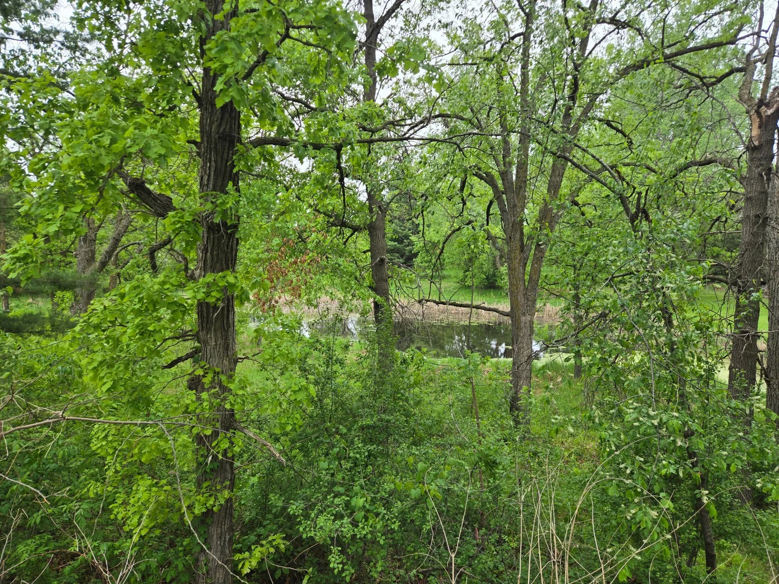 20250517_080537.jpg