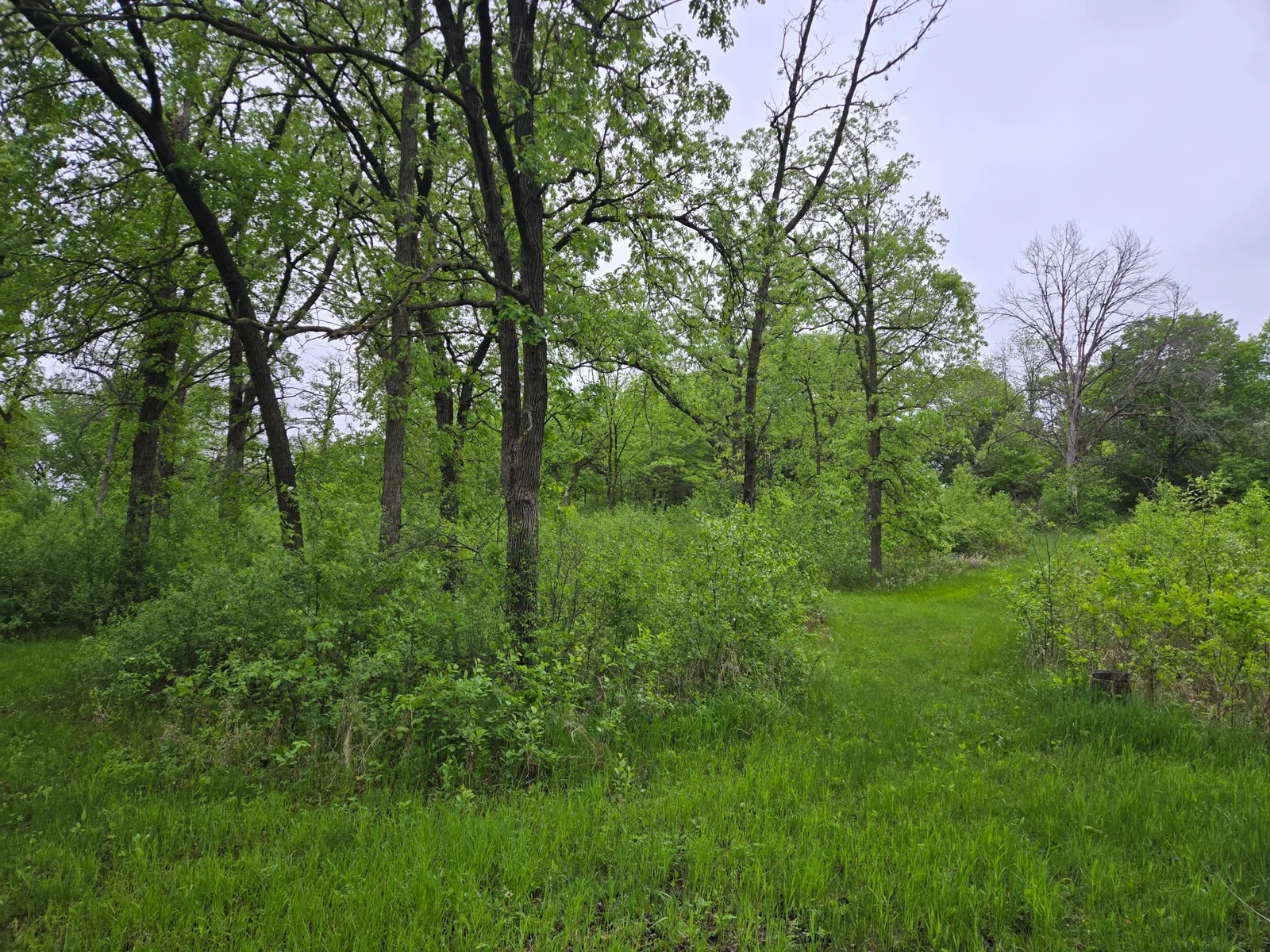 20250517_081005.jpg