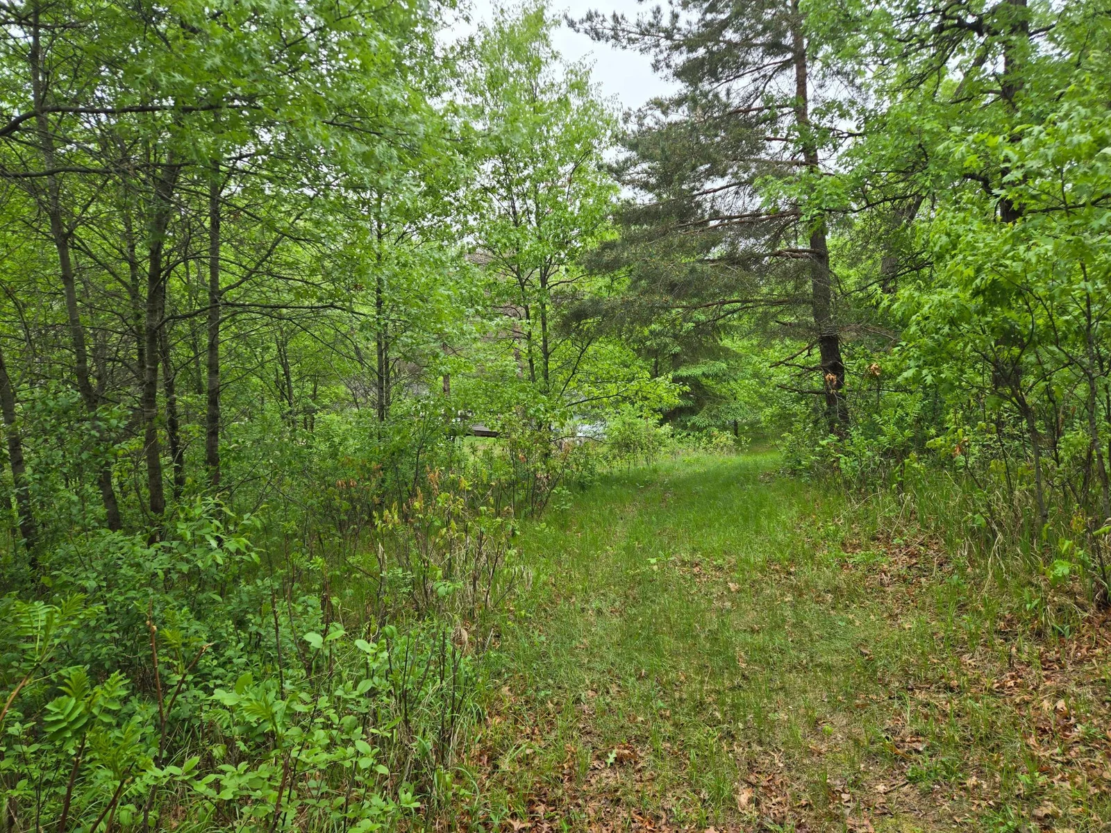 20250517_080137.jpg