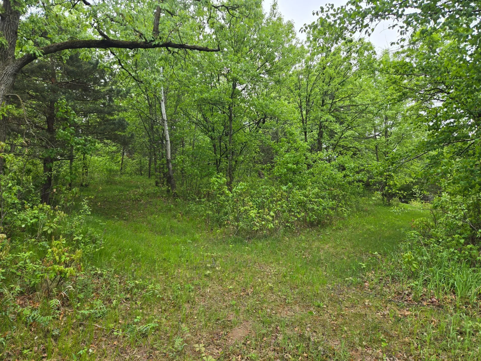 20250517_080600.jpg