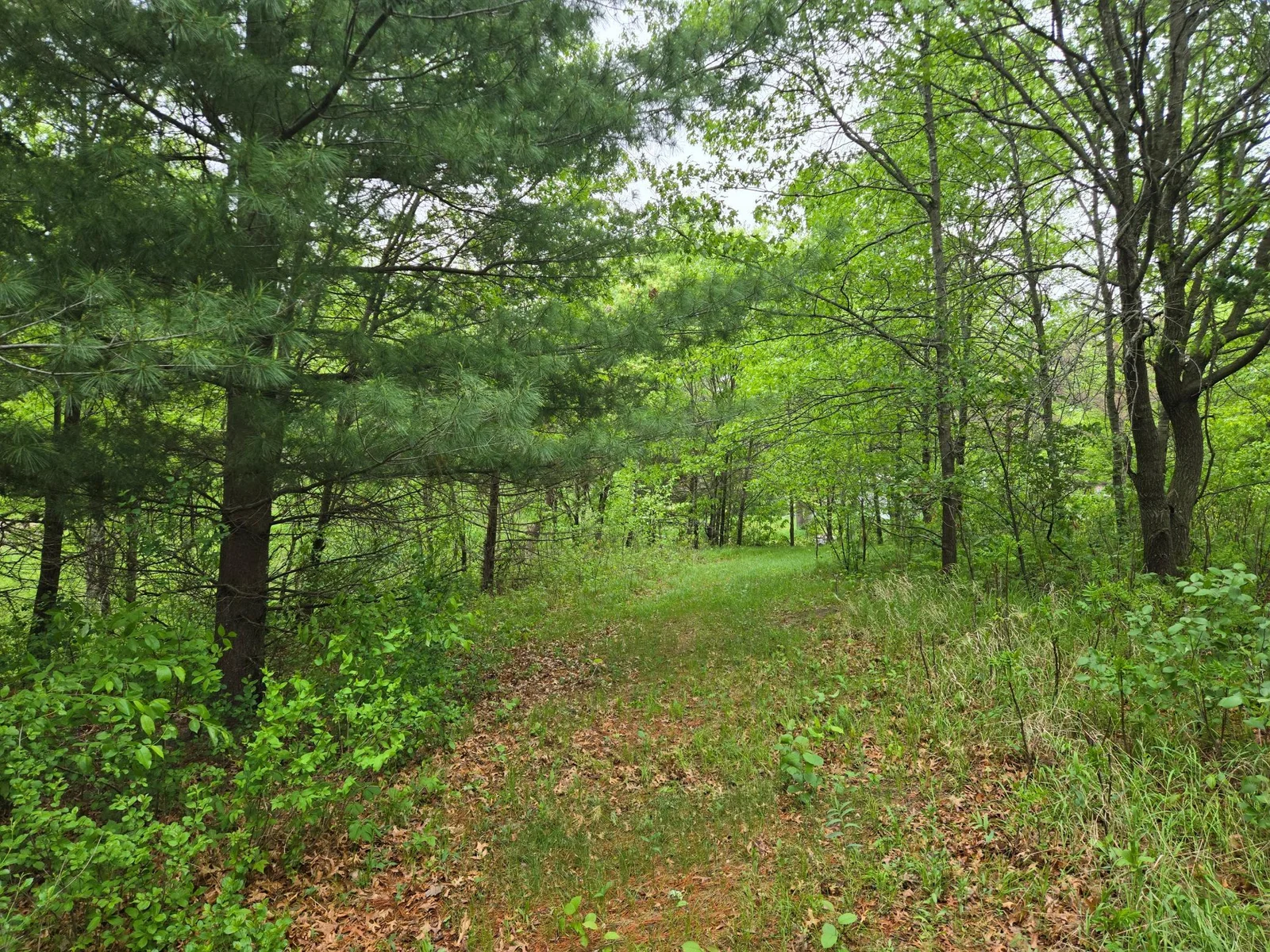 20250517_081127.jpg