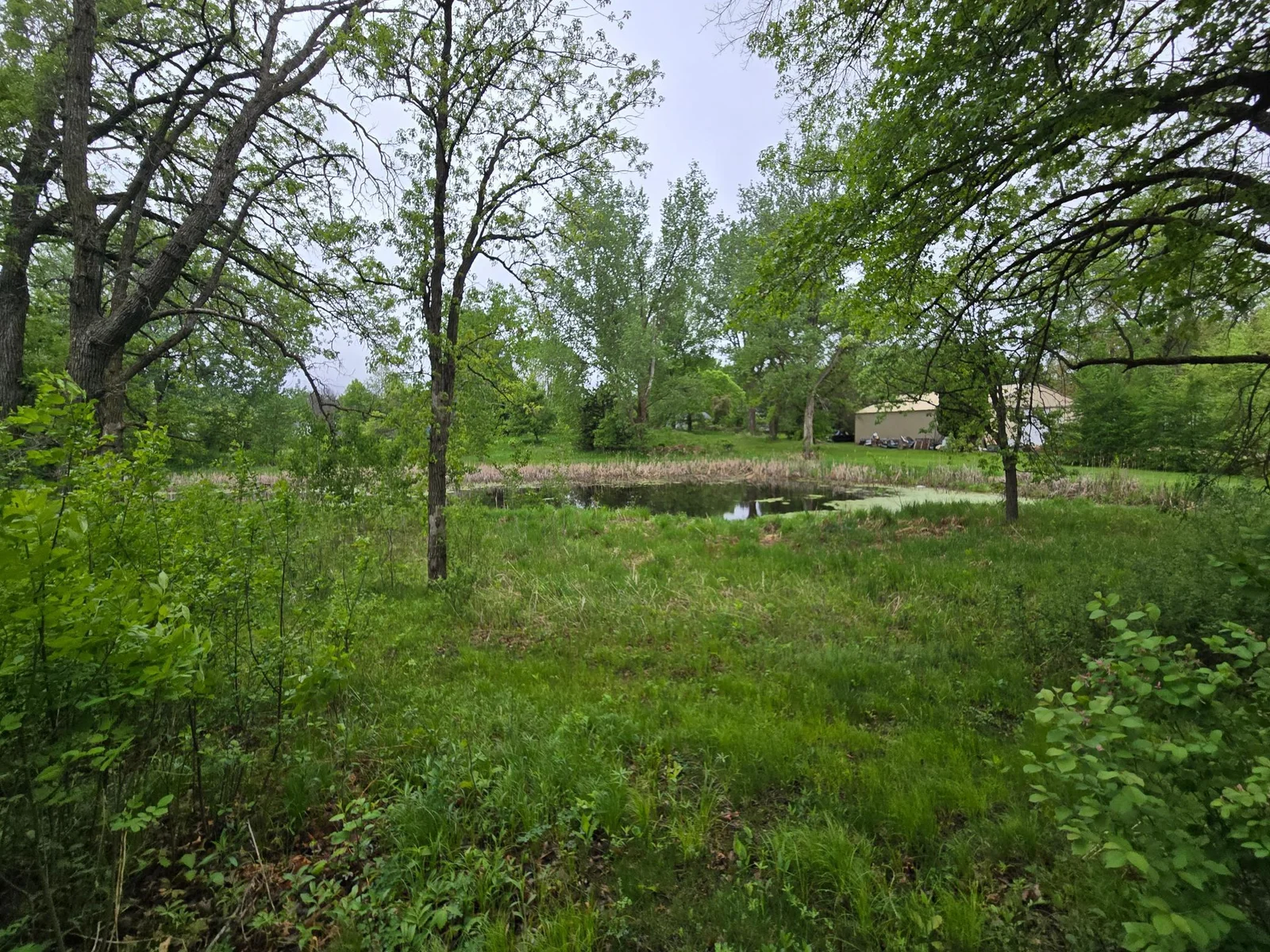 20250517_080632.jpg