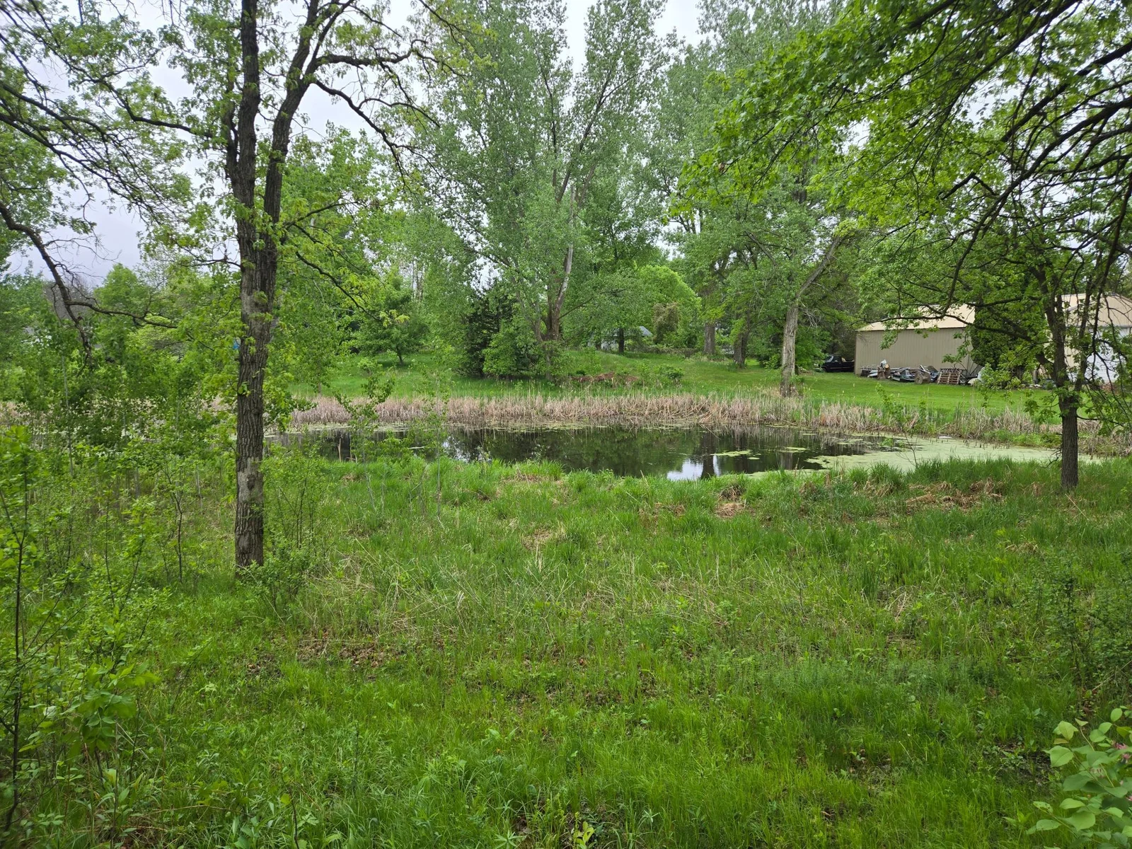 20250517_080635.jpg
