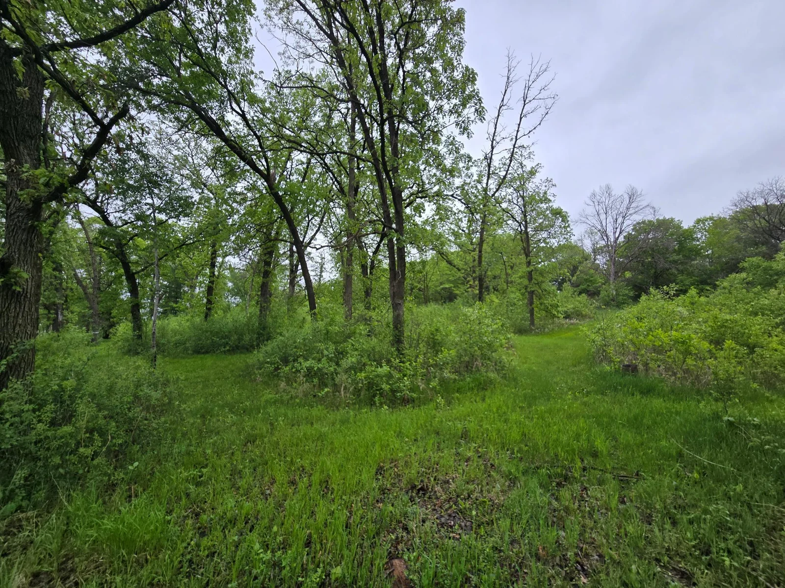 20250517_081002.jpg