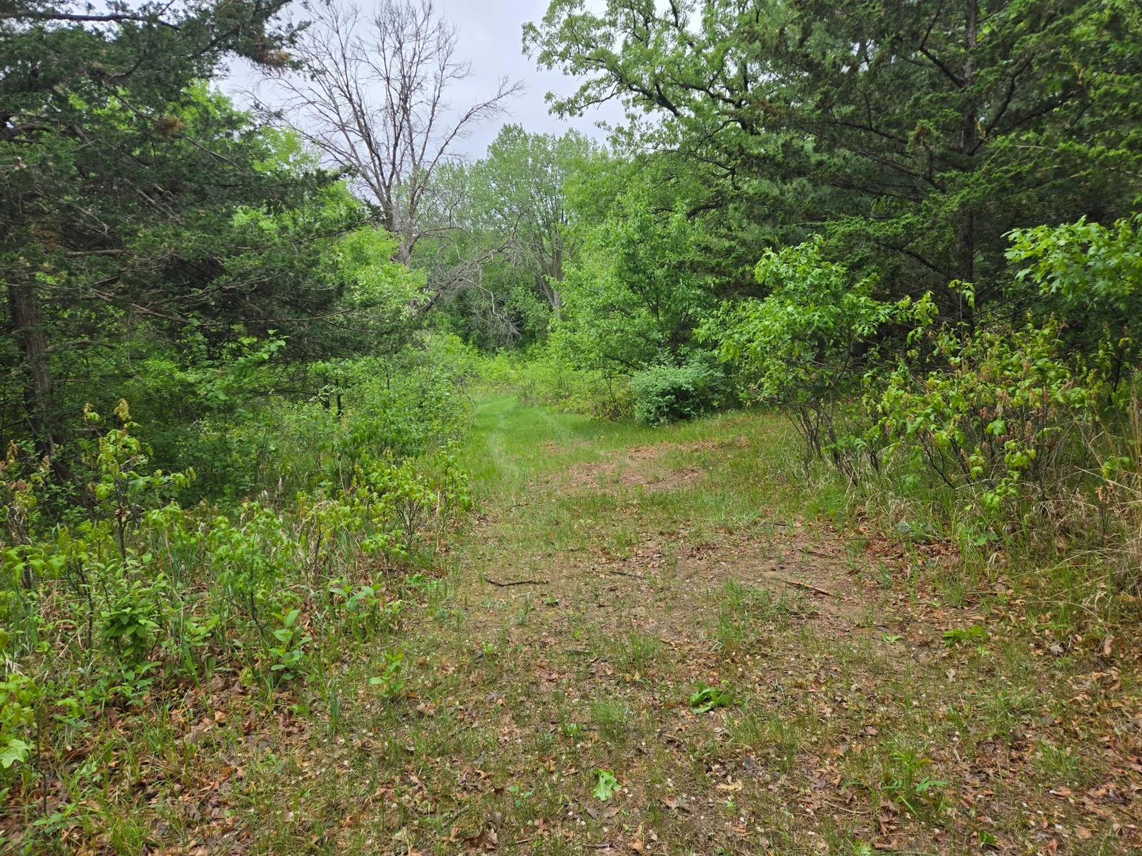 20250517_080124.jpg