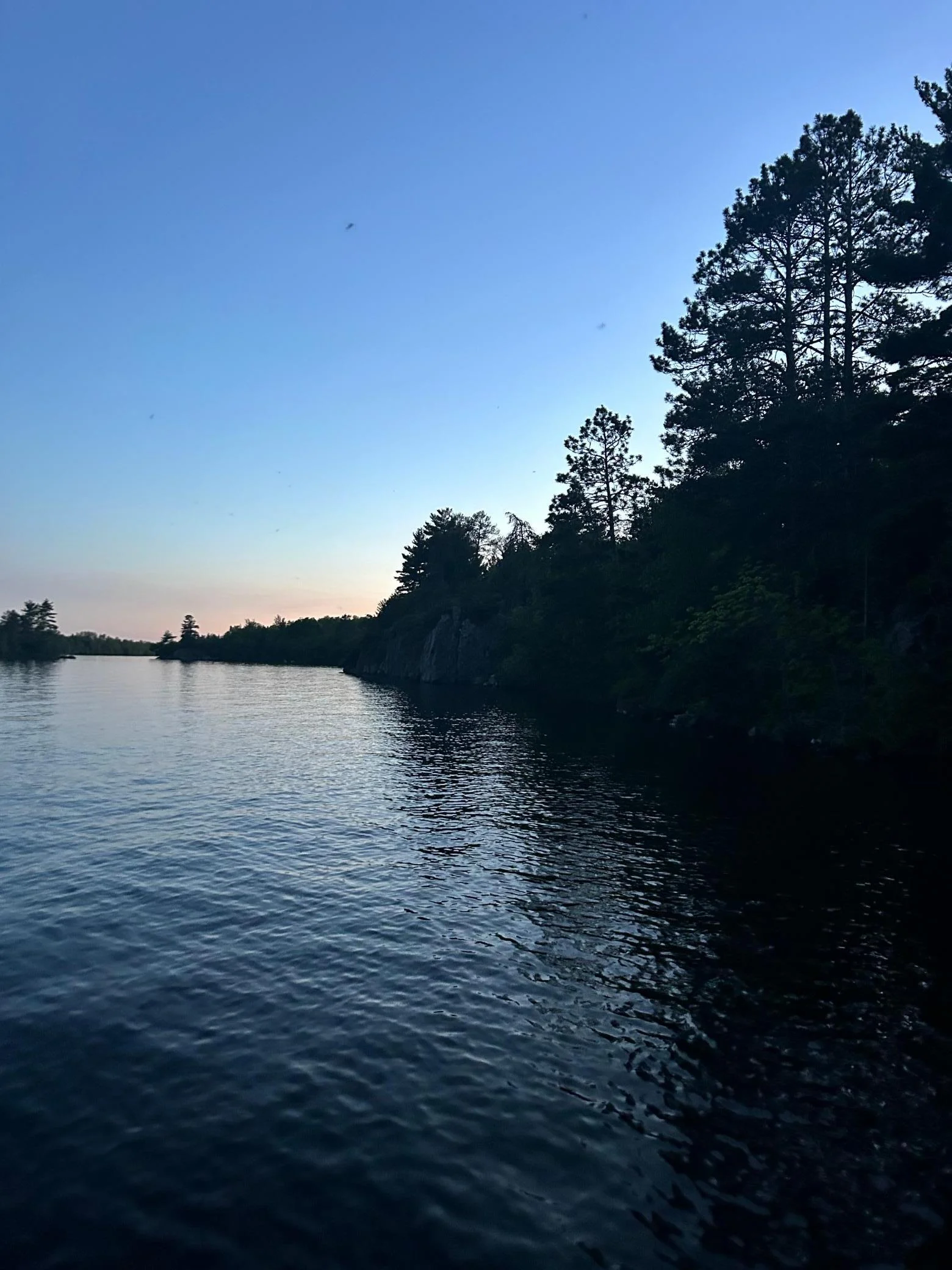 IMG_3687.jpeg