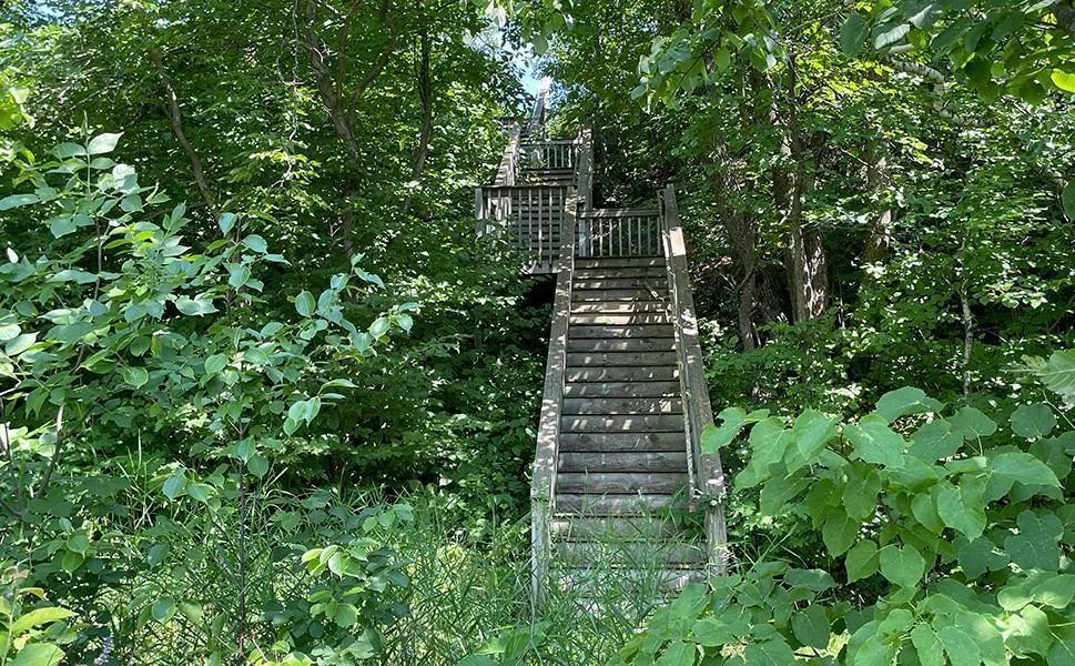 15 StairwayUp2.jpg