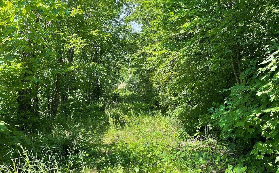08 LakeLevelPath2.jpg