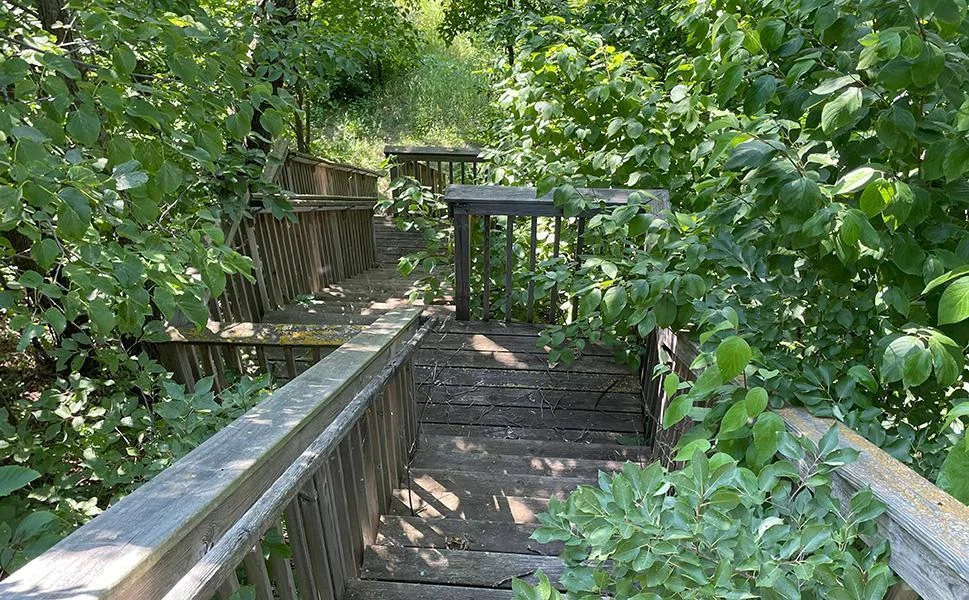 06 StairwayDown.jpg