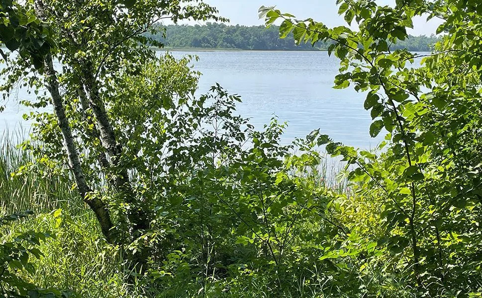 12 LakeView4.jpg