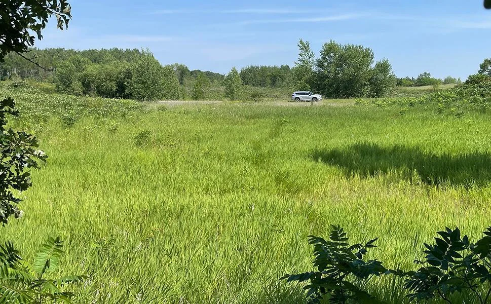 03 ViewToRoad2.jpg