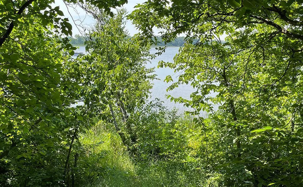 09 LakeView1.jpg