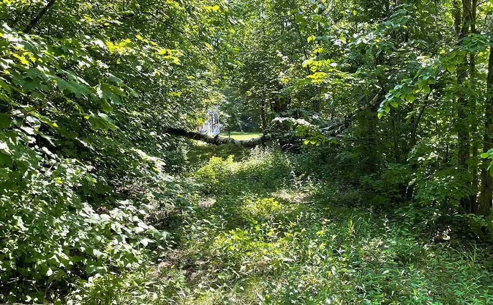 07 LakeLevelPath.jpg