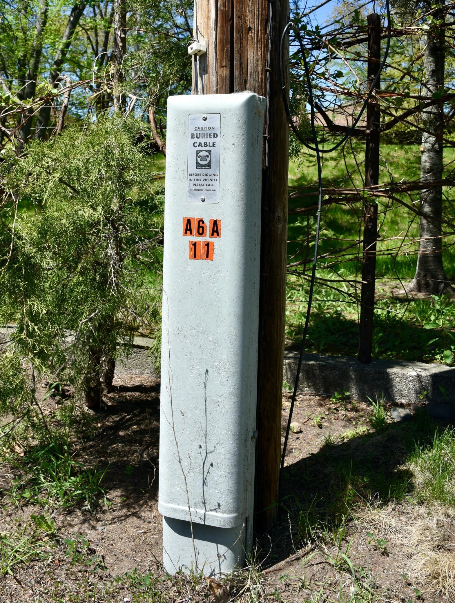 DSC_0243.JPG