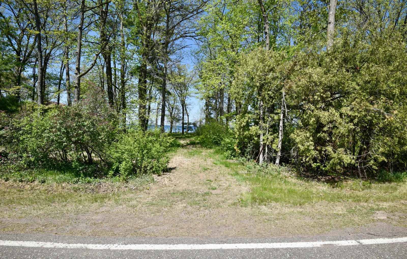 DSC_0174.JPG
