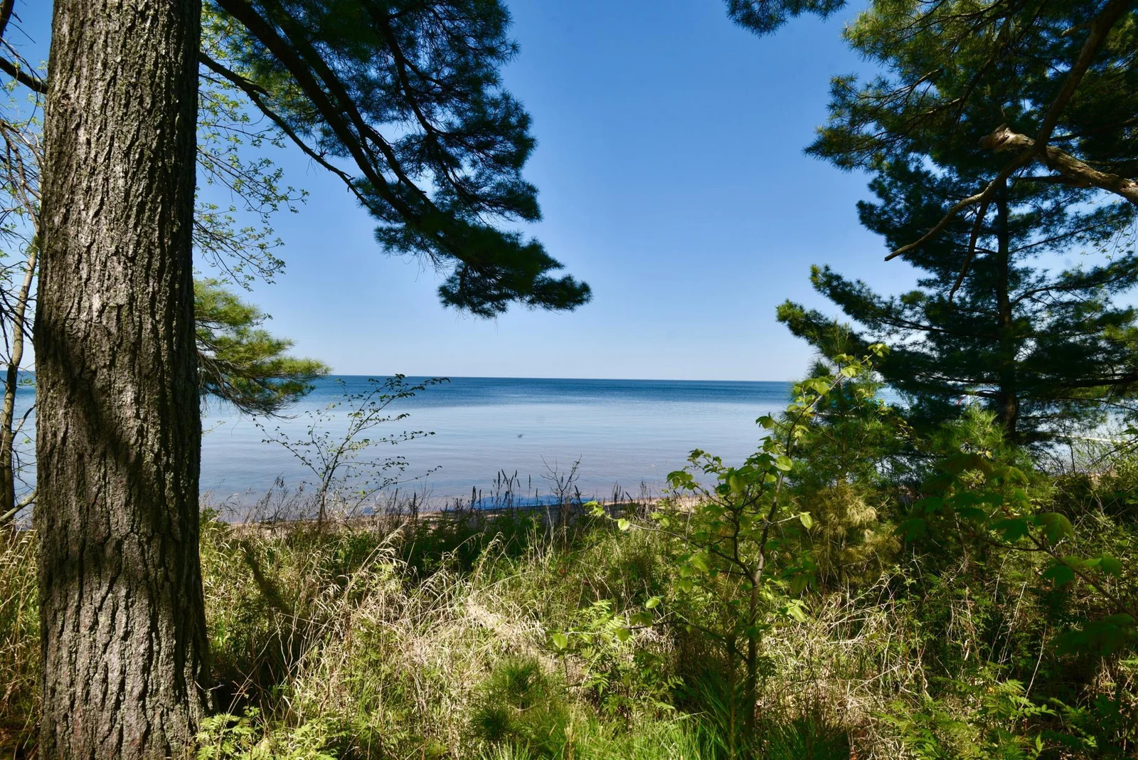 DSC_0184.JPG