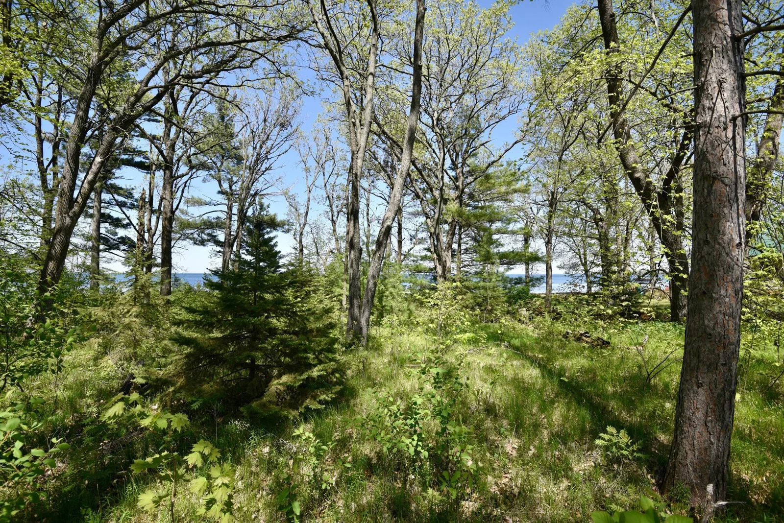 DSC_0197.JPG