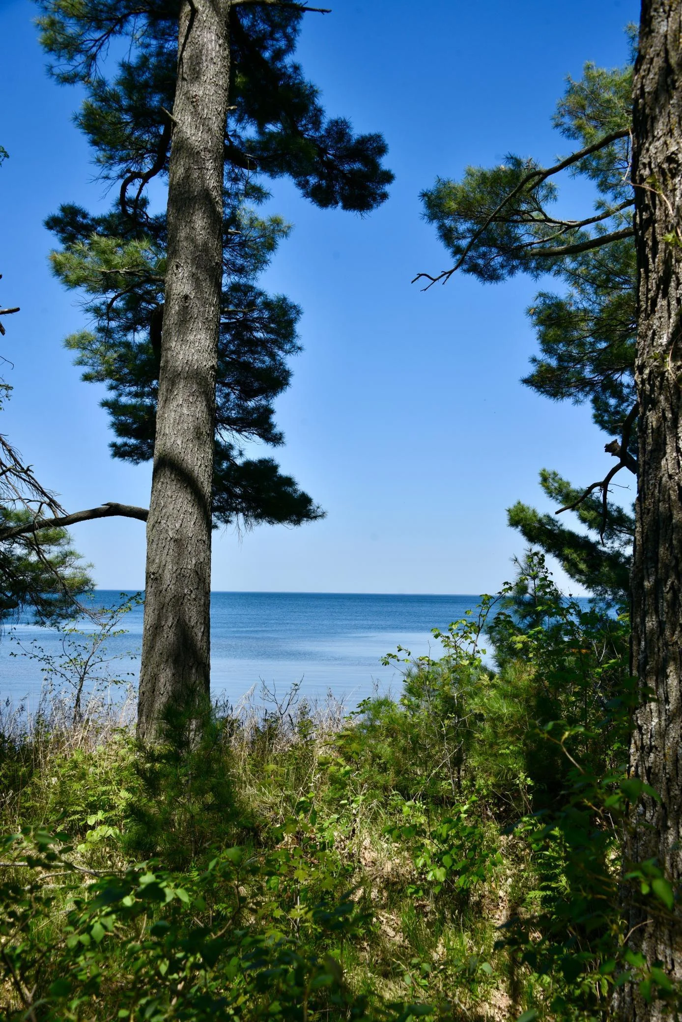 DSC_0212.JPG