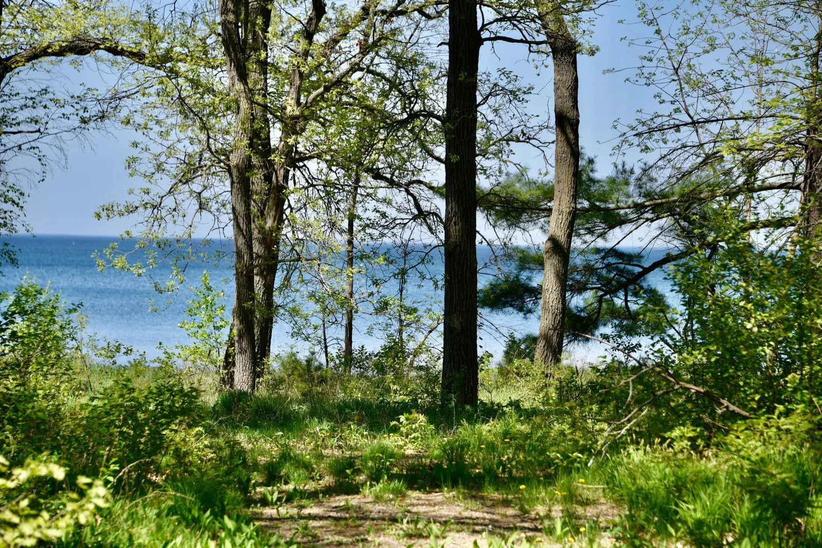 DSC_0209.JPG