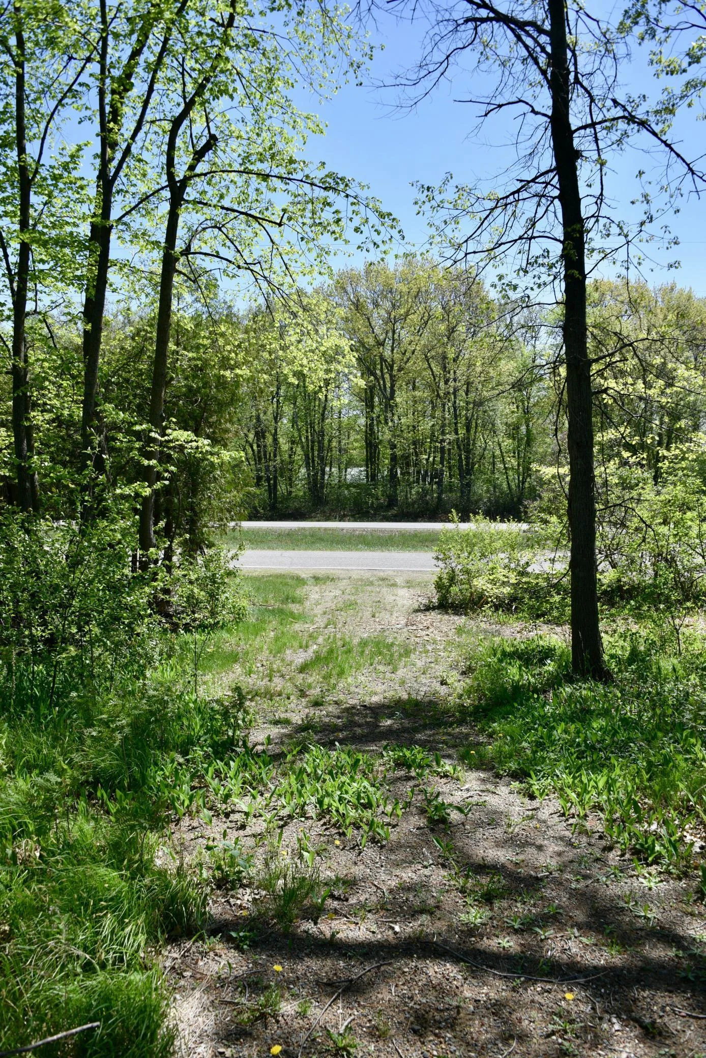 DSC_0236.JPG