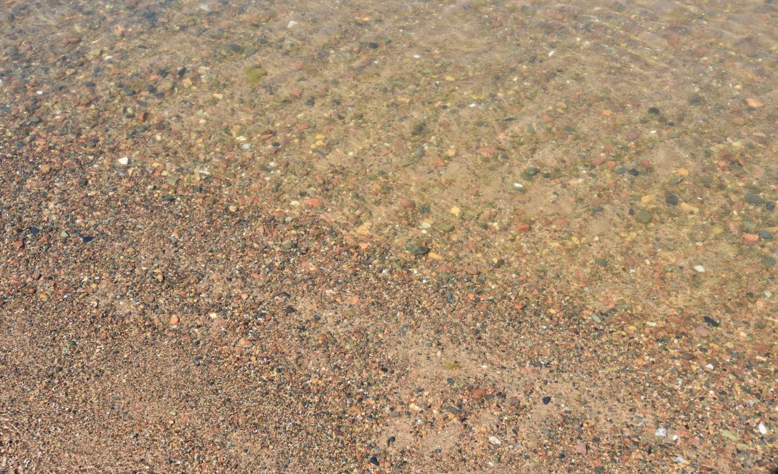 DSC_0187.JPG