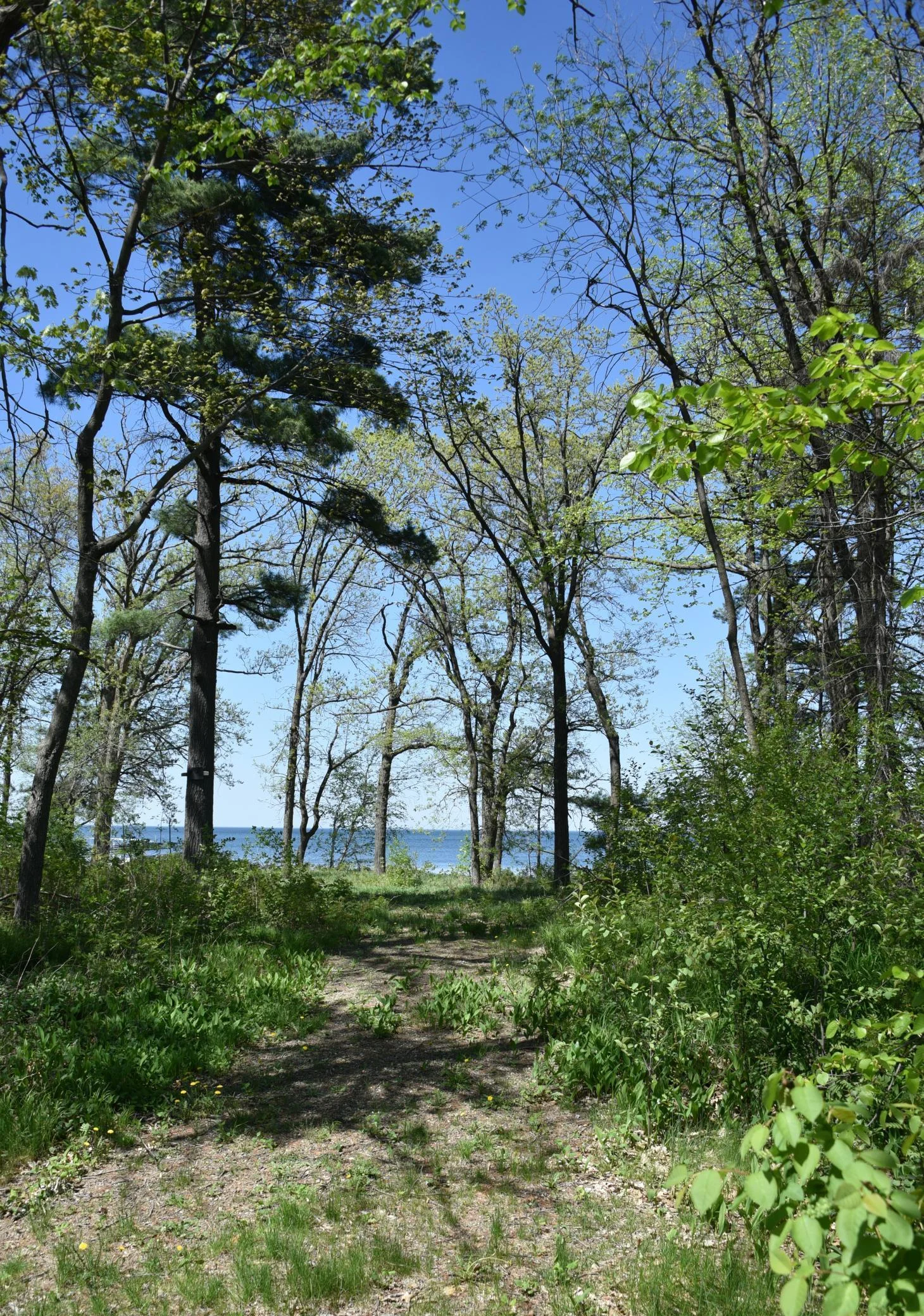 DSC_0239.JPG