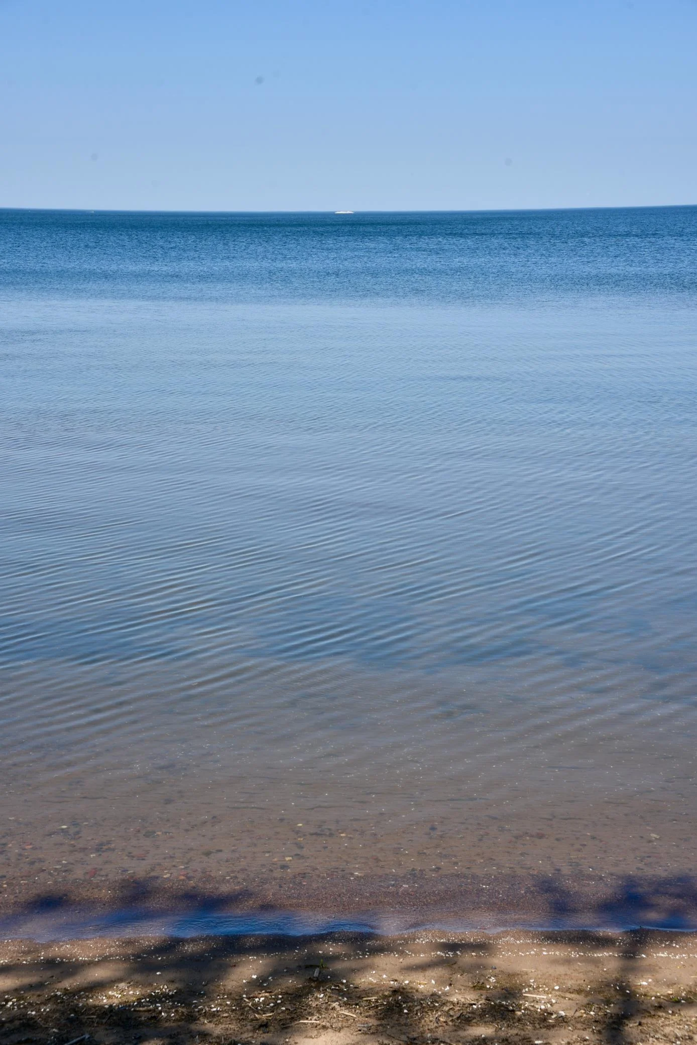 DSC_0220.JPG