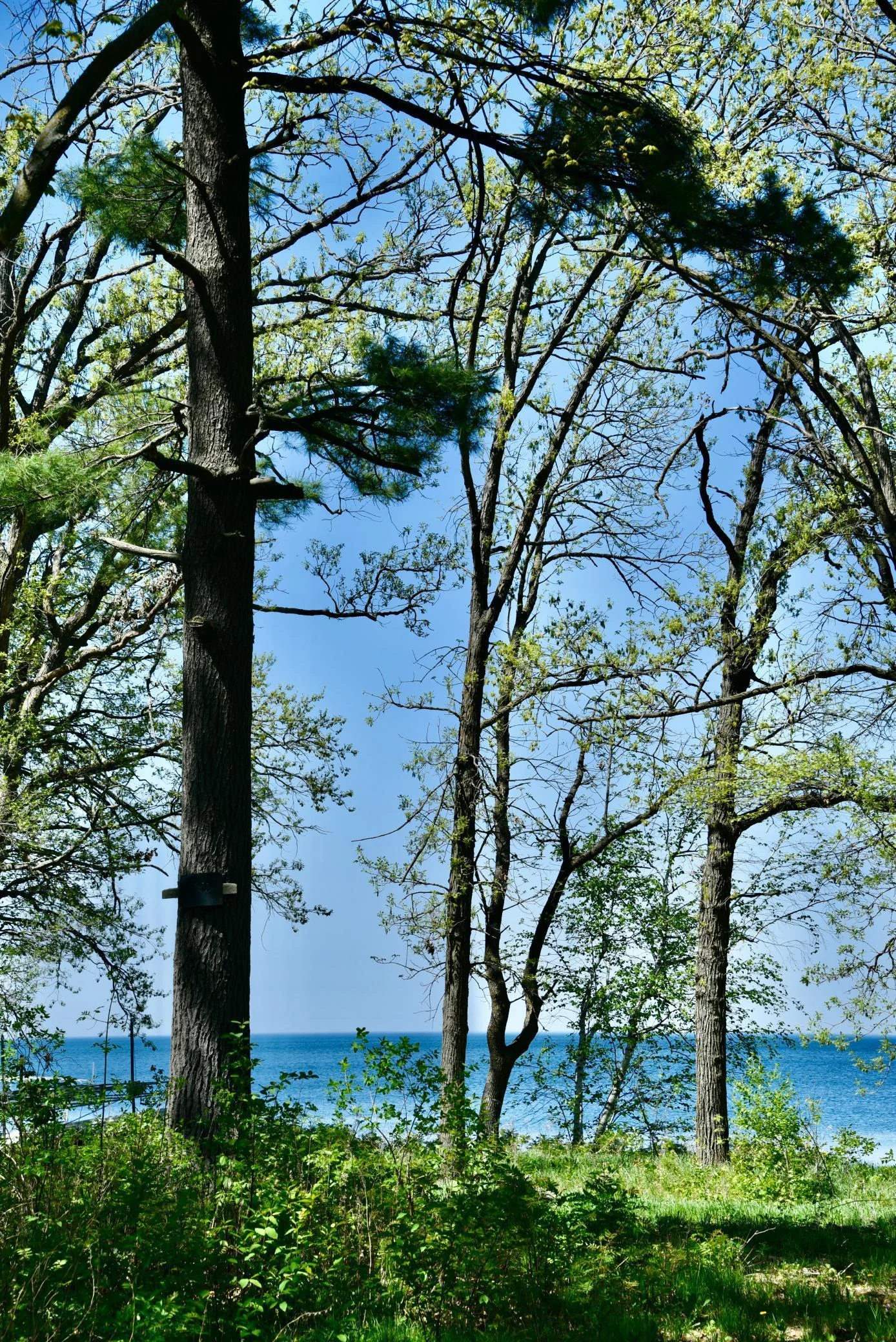 DSC_0240.JPG