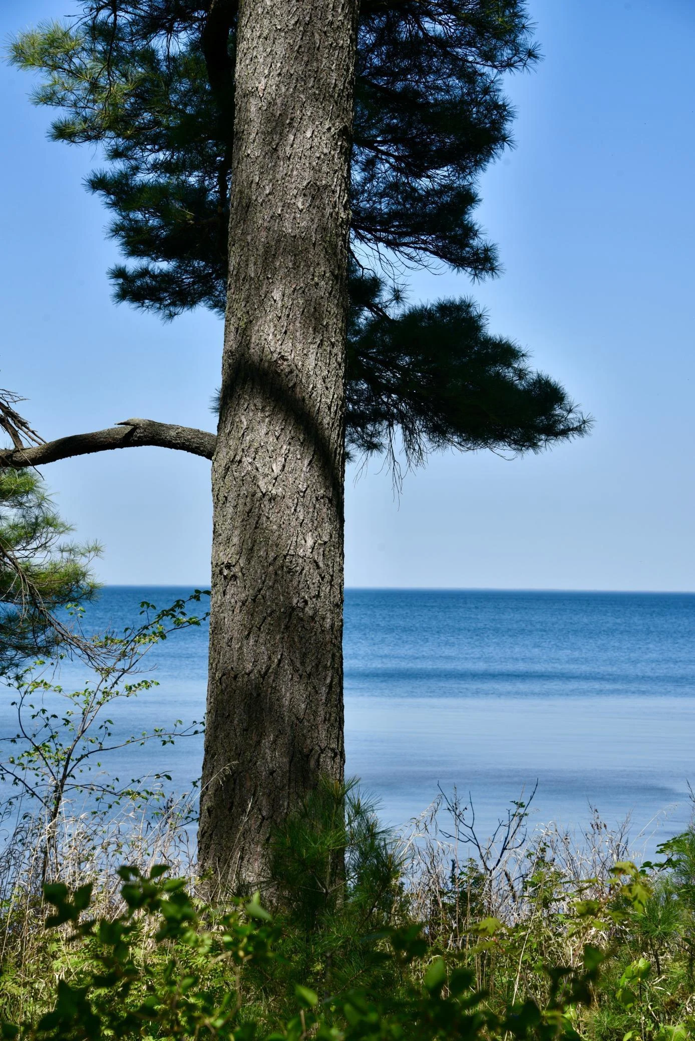 DSC_0211.JPG