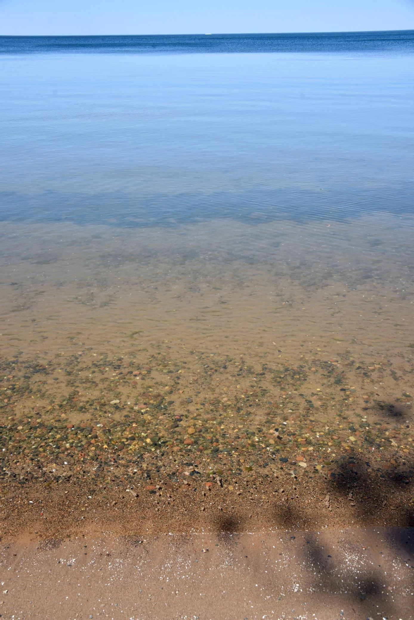 DSC_0225.JPG