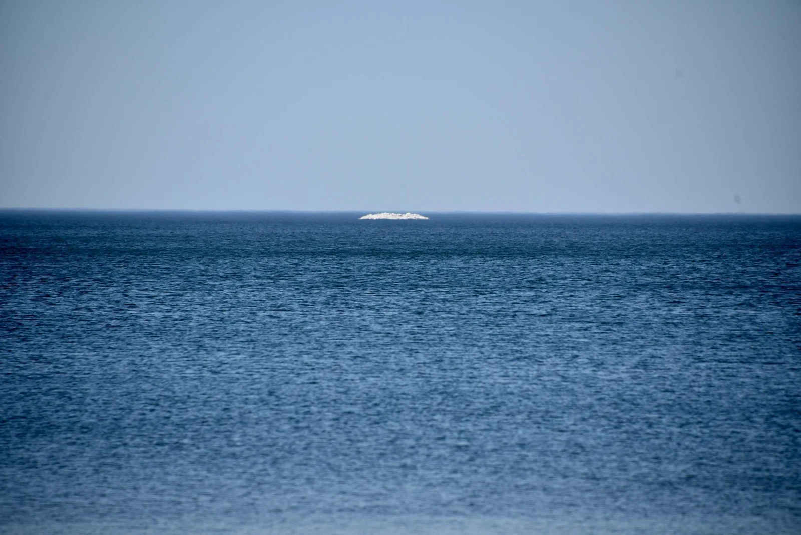 DSC_0221.JPG