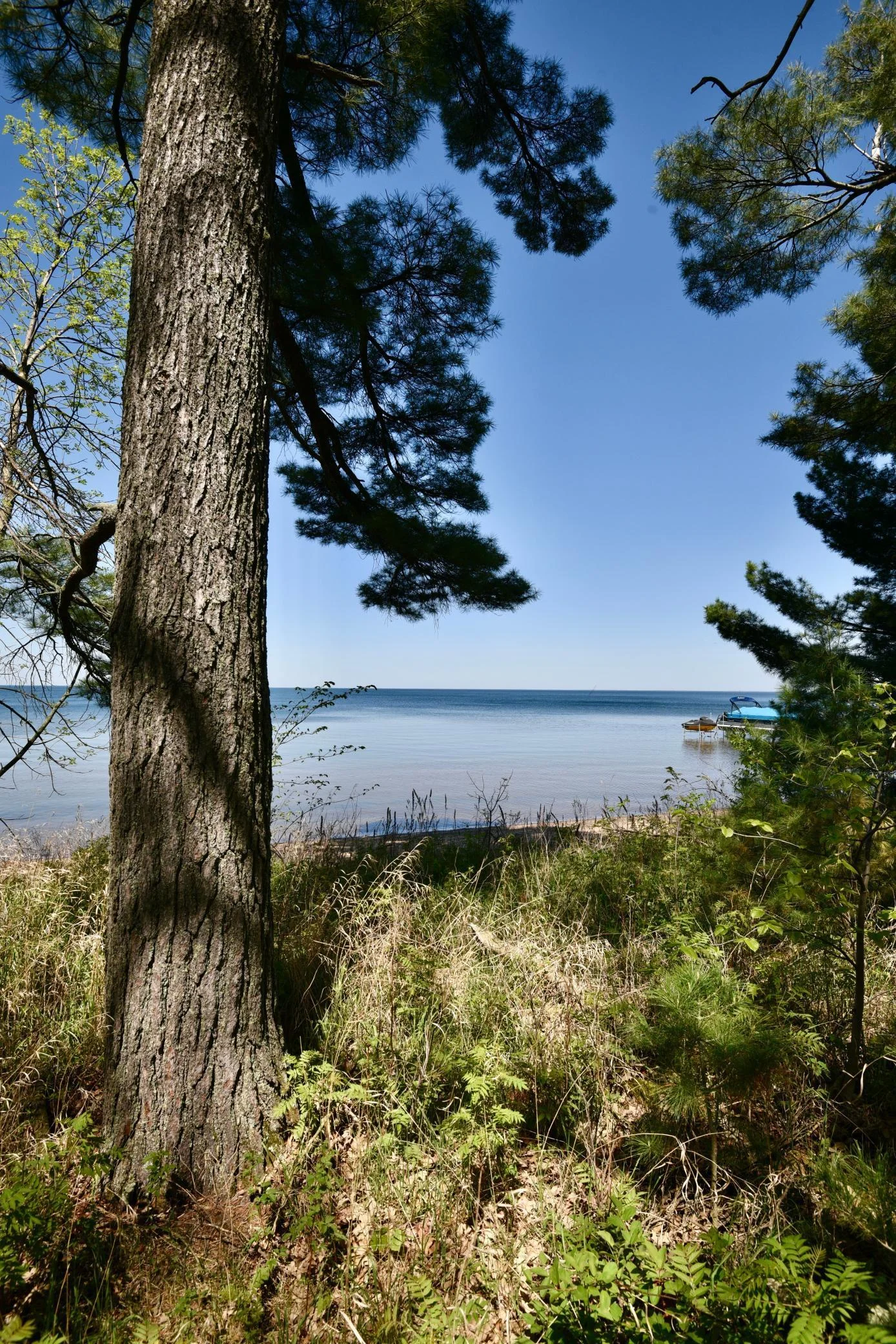 DSC_0183.JPG