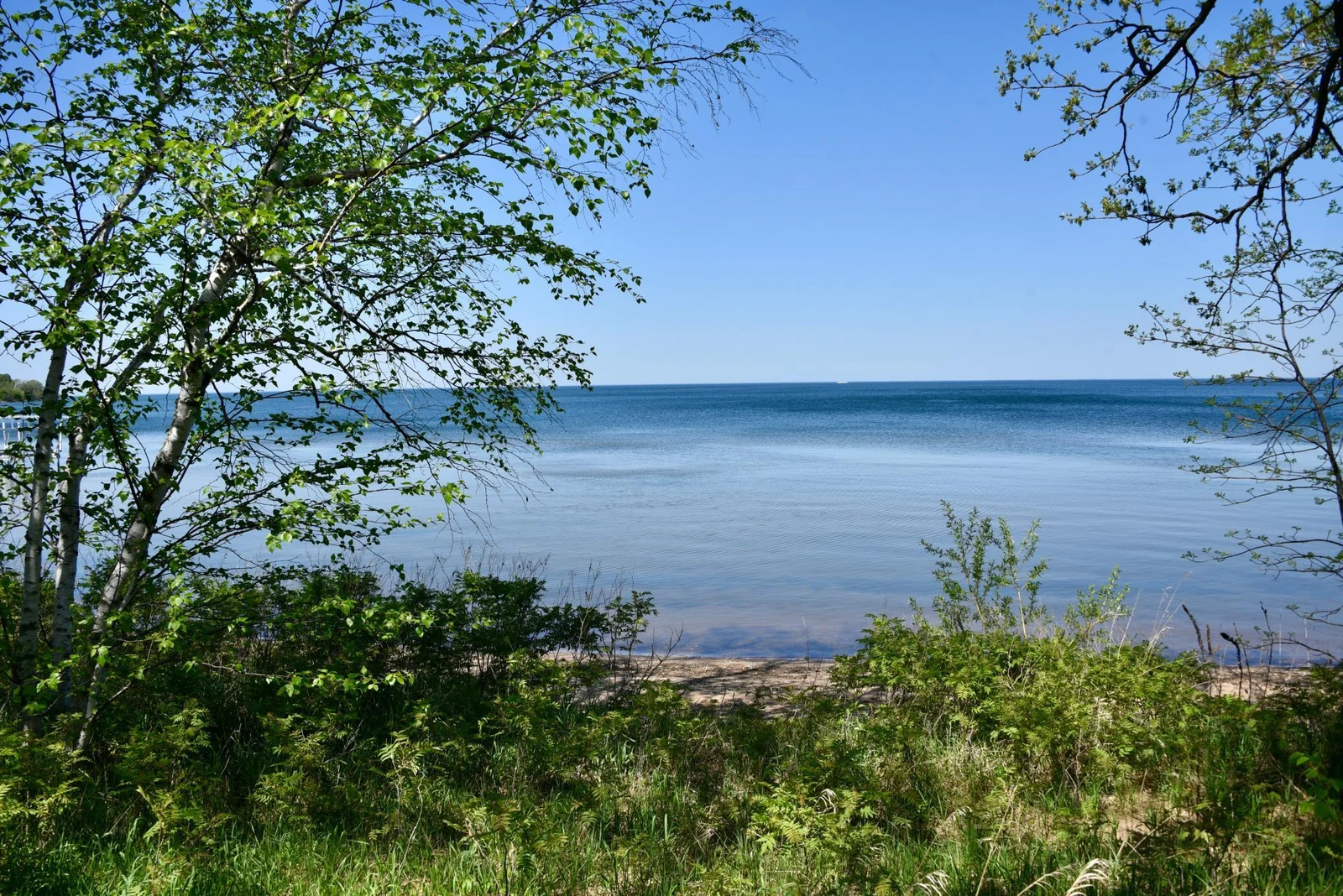 DSC_0218.JPG