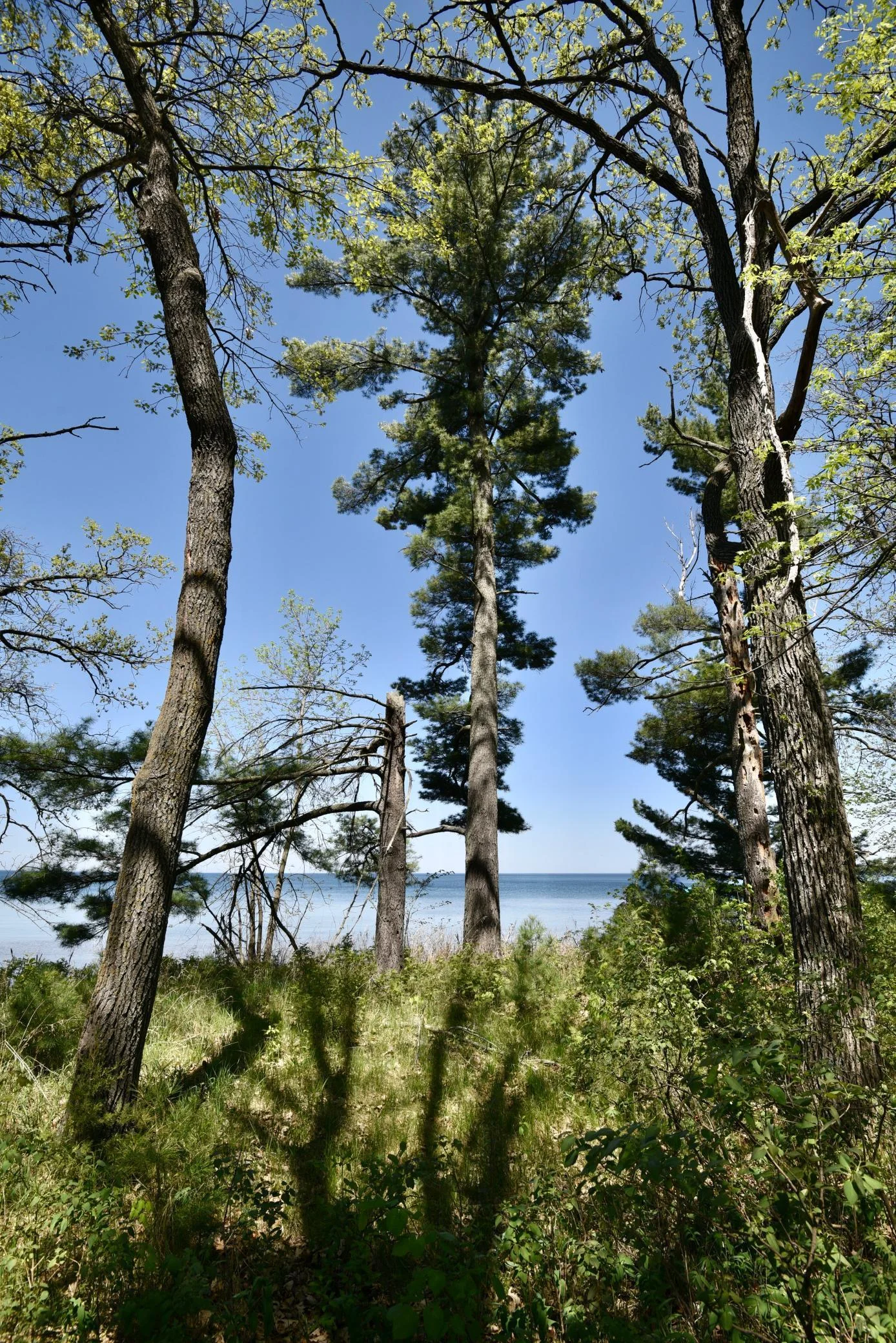 DSC_0181.JPG
