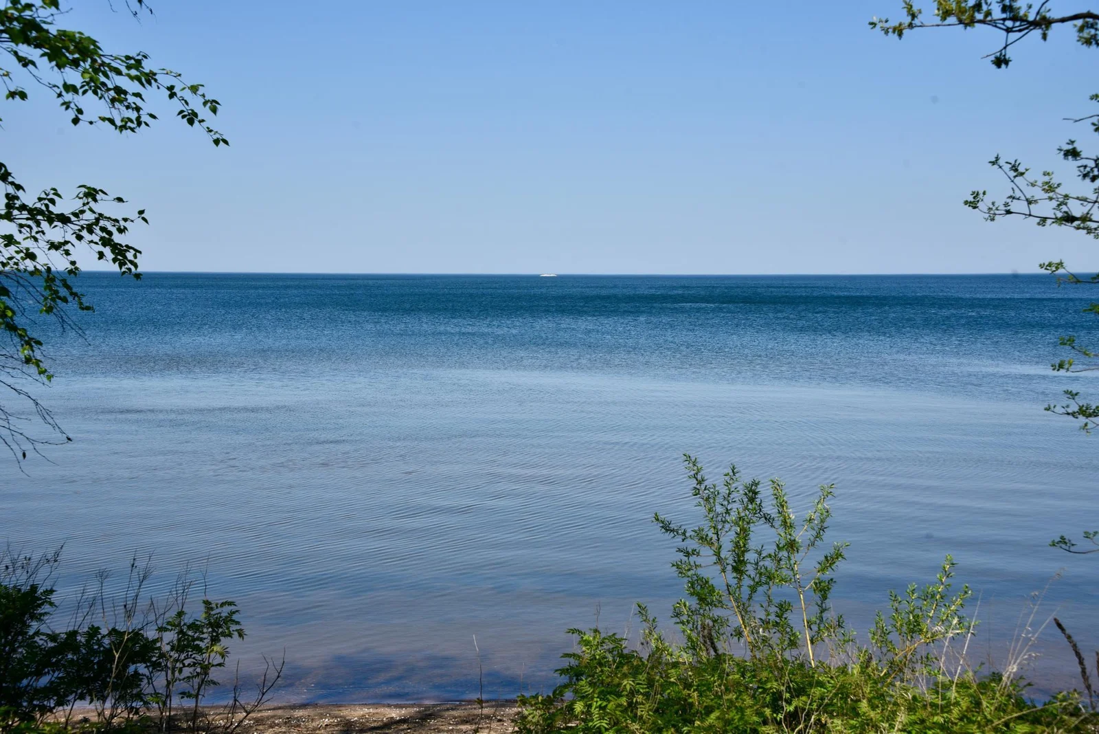 DSC_0219.JPG