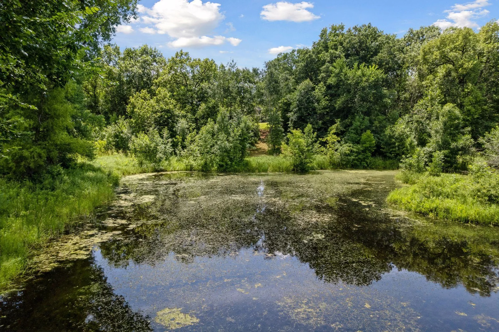 Beautiful pond/creek at the back of the property.
